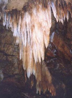 Cave Crystals Big Trees SP 2005.JPG 